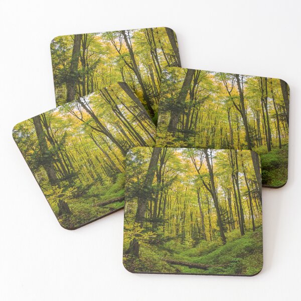 Item preview, Lush Green Forest with Tall Trees designed and sold by jrtwynam.