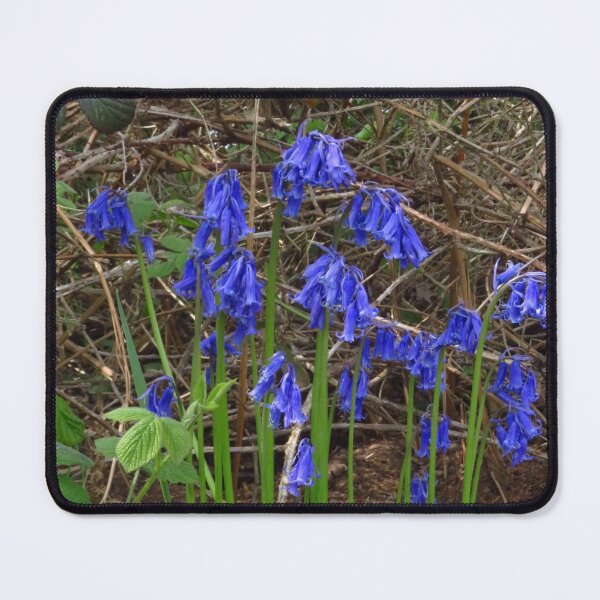Item preview, English Bluebells designed and sold by wiggyofipswich.