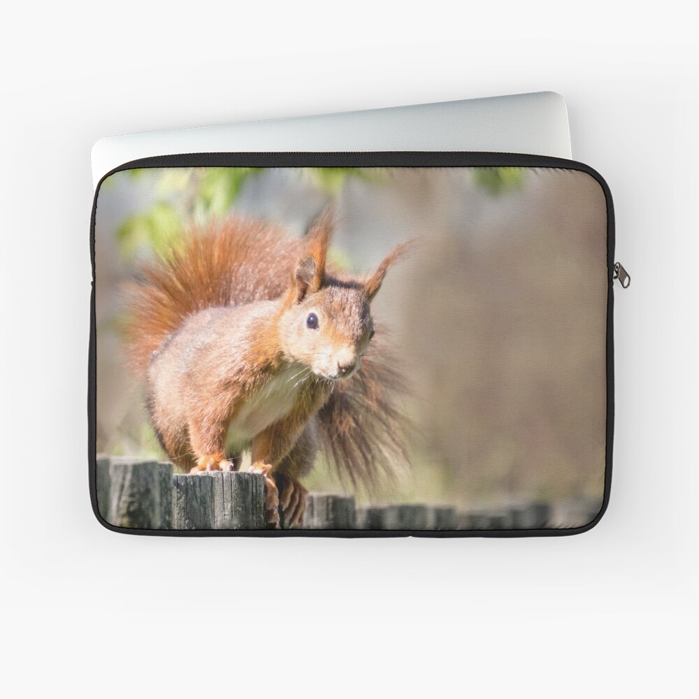 Artikel-Vorschau von Laptoptasche, designt und verkauft von Igelchen.