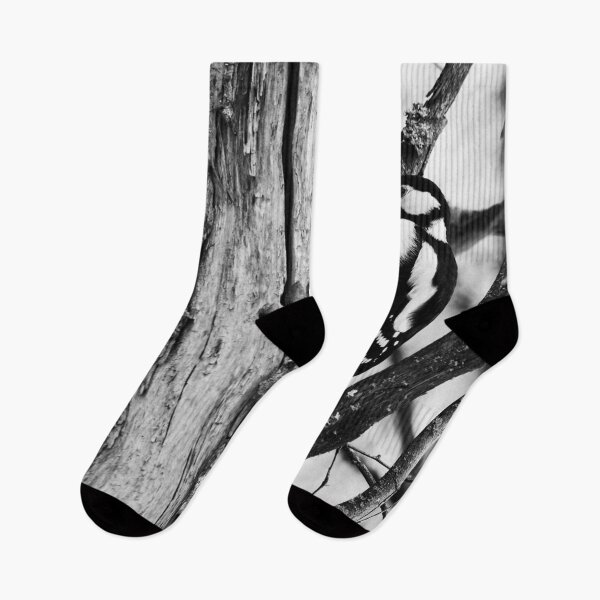 Item preview, The Suck. Great spotted woodpecker bw designed and sold by Jouko Lehto Photography.