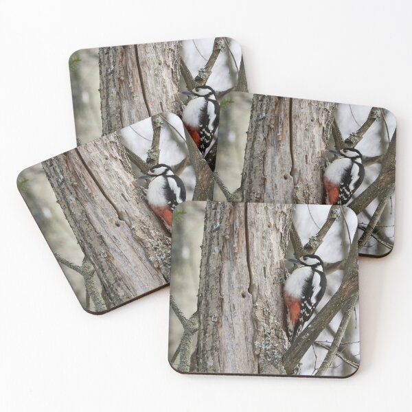 Item preview, The Suck. Great spotted woodpecker designed and sold by Jouko Lehto Photography.