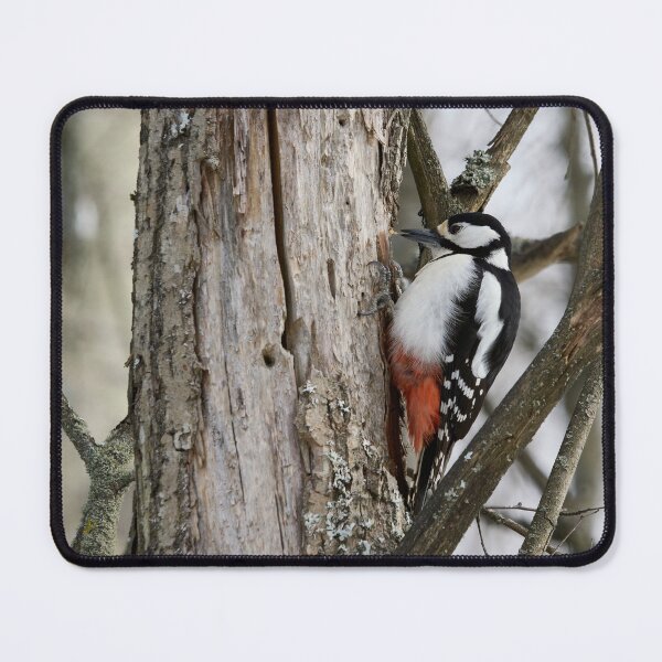Item preview, The Suck. Great spotted woodpecker designed and sold by Jouko Lehto Photography.