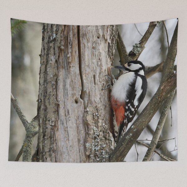 Item preview, The Suck. Great spotted woodpecker designed and sold by Jouko Lehto Photography.