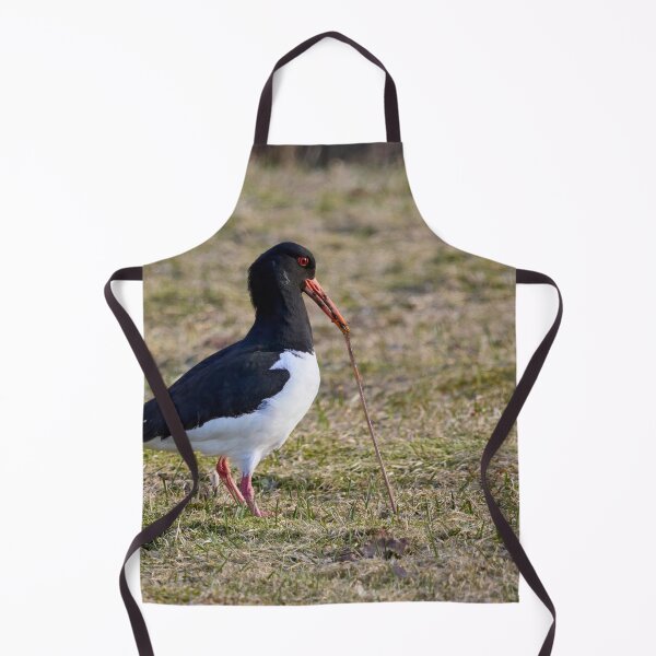 Item preview, Someone is fighthing back. Eurasian oystercatcher designed and sold by Jouko Lehto Photography.