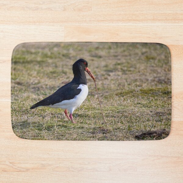 Item preview, Someone is fighthing back. Eurasian oystercatcher designed and sold by Jouko Lehto Photography.