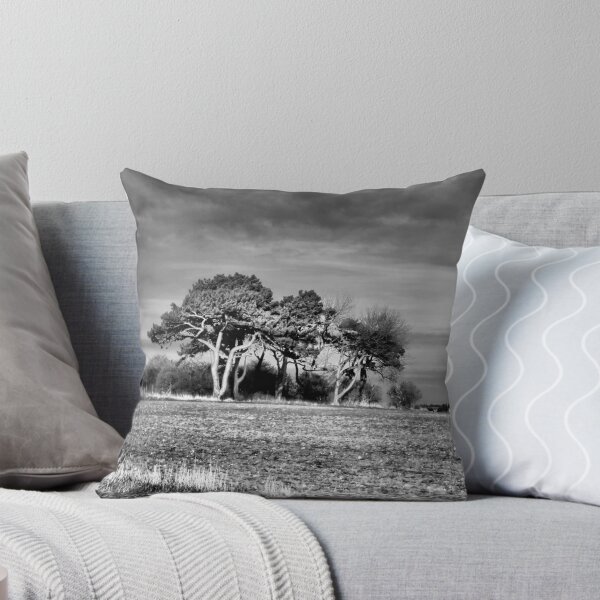 Item preview, 3 Trees designed and sold by Sarah Couzens.