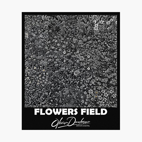 Aperçu de l'œuvre Flowers field 40 créée et vendue par olivier duchossoir.