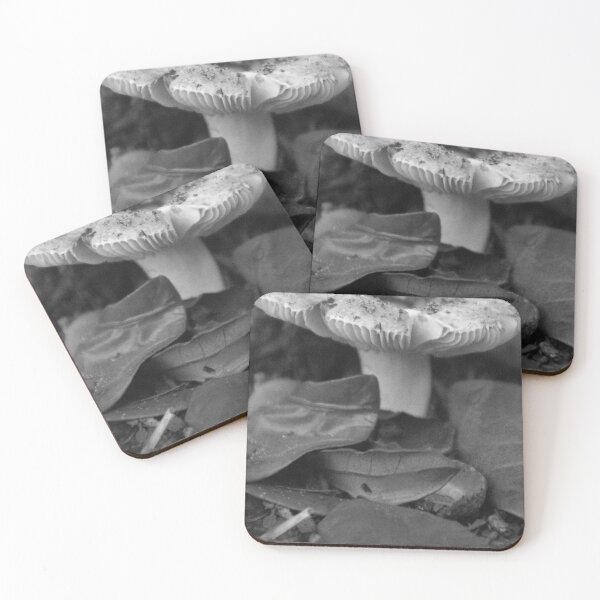 Item preview, Front Yard Fungi Black And White designed and sold by MercerImages.