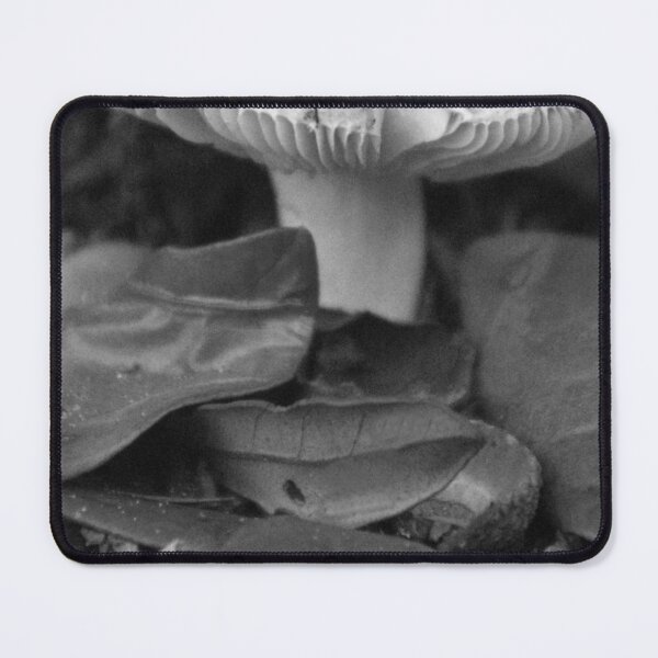 Item preview, Front Yard Fungi Black And White designed and sold by MercerImages.
