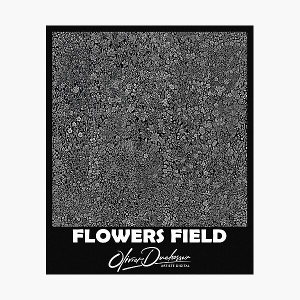 Aperçu de l'œuvre Flowers field 41 créée et vendue par olivier duchossoir.