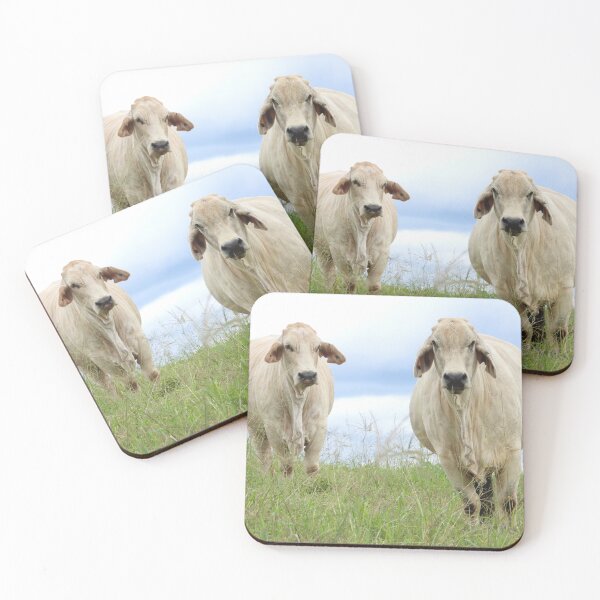 Item preview, Cows in the paddock designed and sold by Jenny  Dyer.
