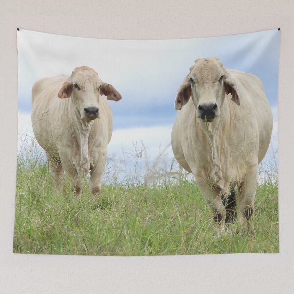 Item preview, Cows in the paddock designed and sold by Jenny  Dyer.