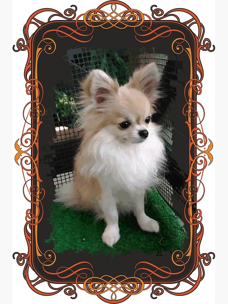 Chiwawa Chihuahua Greeting Card By Funkymike Redbubble