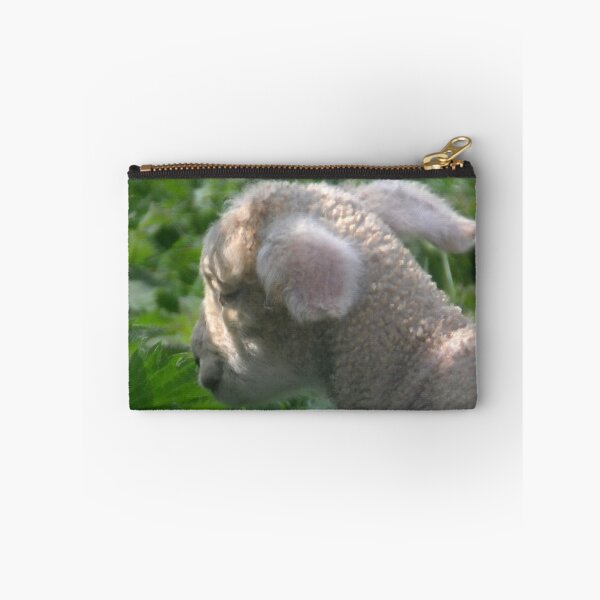 Aperçu de l'œuvre Curly Young Lamb....... créée et vendue par lynn carter.