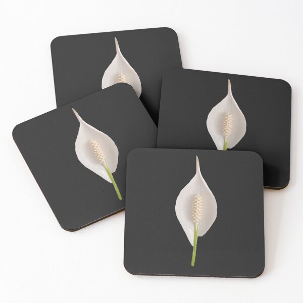 Item preview, Spathiphyllum, flower, white flower designed and sold by colorgallery11.