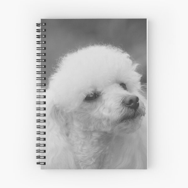 Item preview, Toy poodle designed and sold by ritmoboxers.