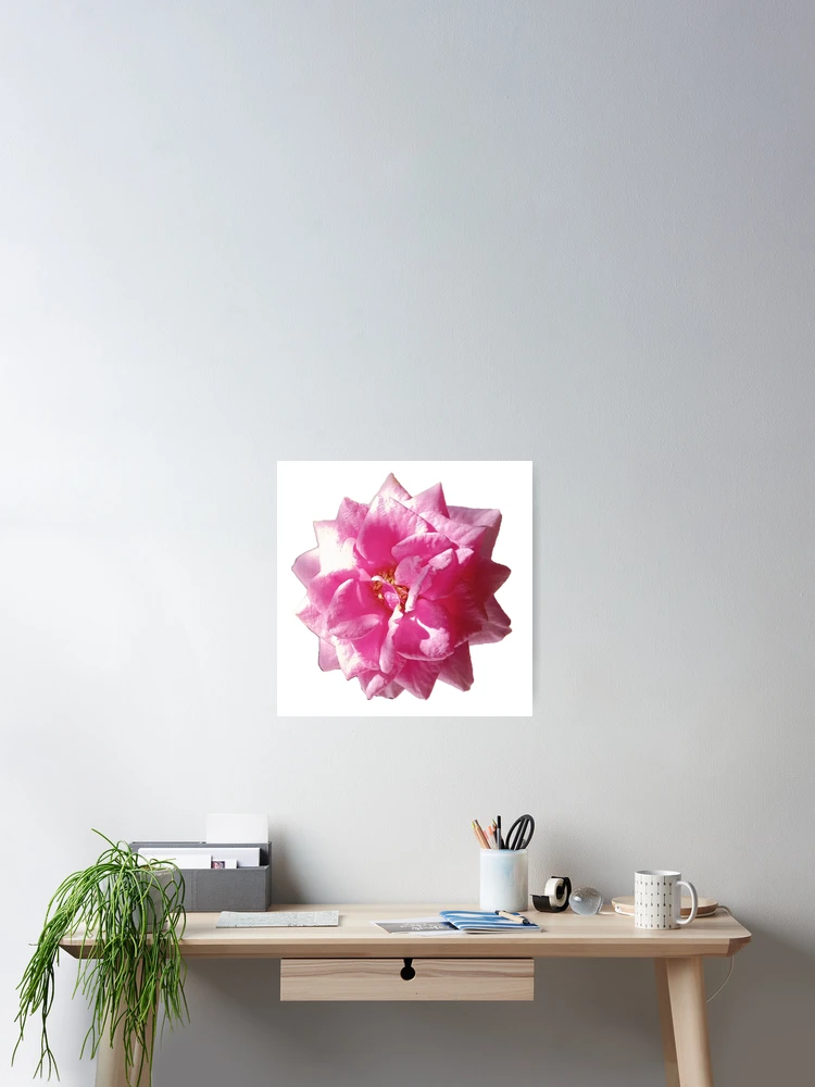 Aperçu 2 sur 3. Poster avec l'œuvre Rose, Roses, Roses Roses, Rococo créée et vendue par colorgallery11.