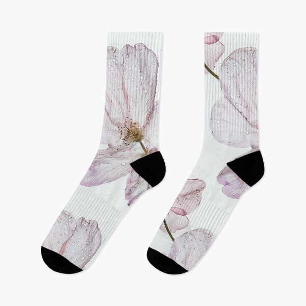 Item preview, An isolated shot of a single floral bloom with dew drops designed and sold by sample325.