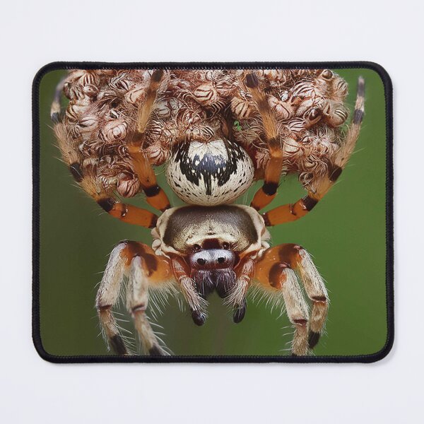Item preview, HappyMothersDay T-Shirt Hoodie Stickers Hat iPhoneCase MousePad Pillow ArtPrint Cards Posters Mugs Bags Clock Apron designed and sold by likbatonboot.