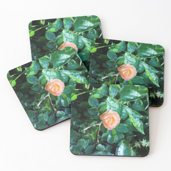 Item preview, A rose  designed and sold by McFleur's Lens.