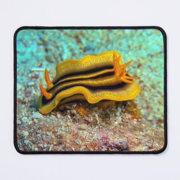 Item preview, Pumpkin Nudibranch T-Shirt Hoodie Stickers Hat iPhoneCase MousePad Pillow ArtPrint Cards Posters Mugs Bags Clock Apron designed and sold by likbatonboot.