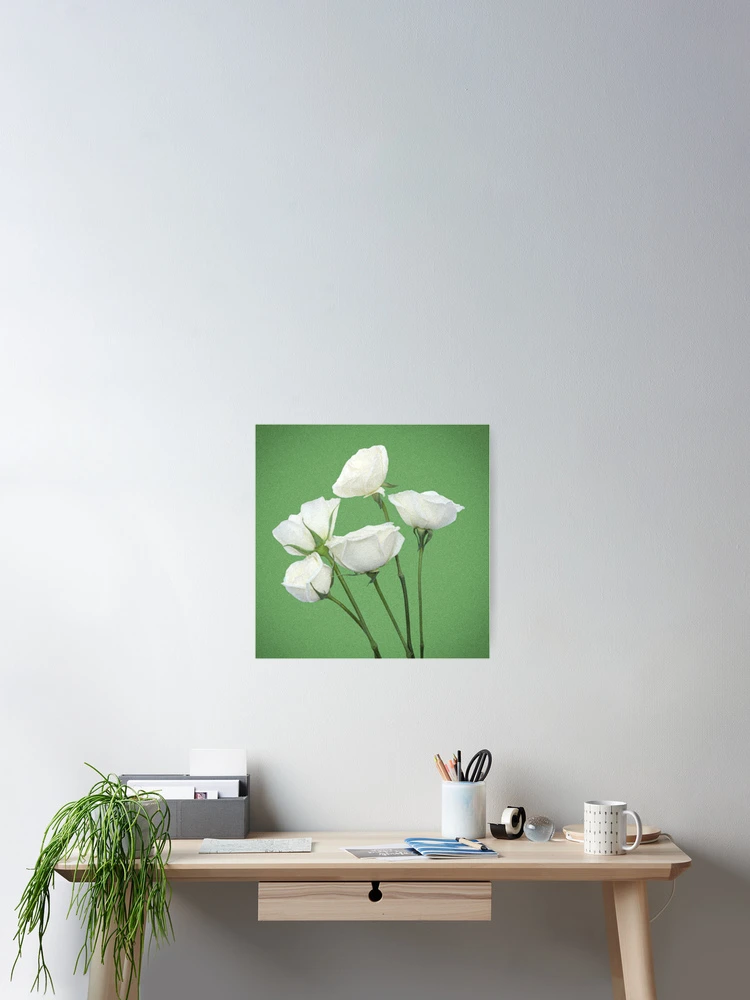 Thumbnail 2 of 3, Poster, Spring White Roses designed and sold by Asmaa Abdul-Azim.
