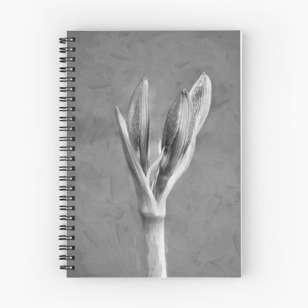 Item preview,  Sweet Lillian Amaryllis X111 designed and sold by RichFrancoCars.