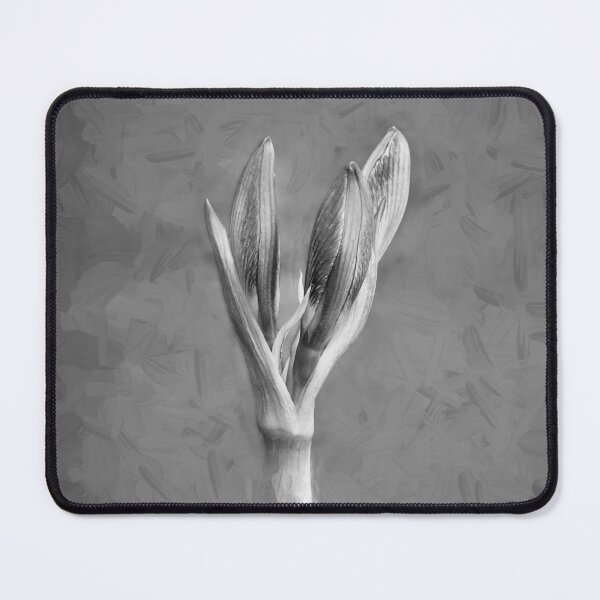 Item preview, Sweet Lillian Amaryllis X111 designed and sold by RichFrancoCars.