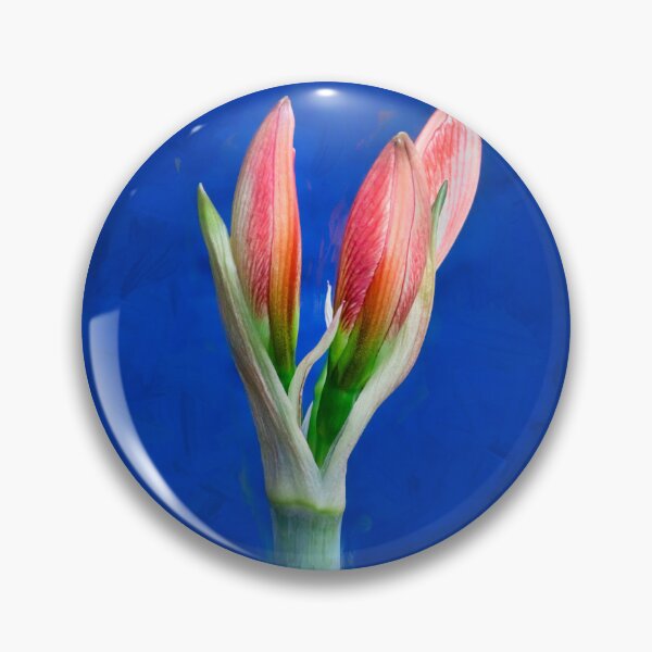 Item preview, Copy of  Sweet Lillian Amaryllis X111 designed and sold by RichFrancoCars.