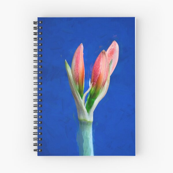 Item preview, Copy of  Sweet Lillian Amaryllis X111 designed and sold by RichFrancoCars.