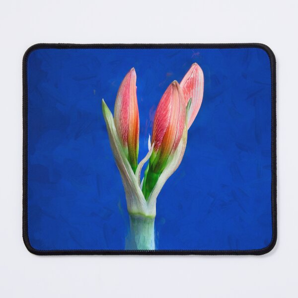Item preview, Copy of Sweet Lillian Amaryllis X111 designed and sold by RichFrancoCars.