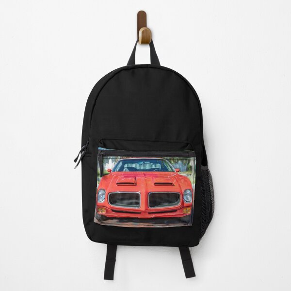Item preview, 1970 Red Pontiac Firebird Ram Air Formula 400 X114 designed and sold by RichFrancoCars.
