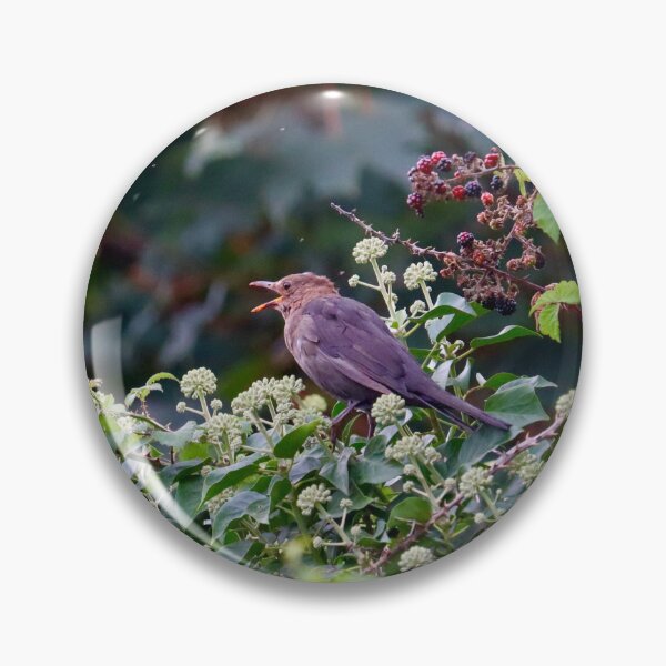 Item preview, Chirping Bird designed and sold by Charlotte-3103.