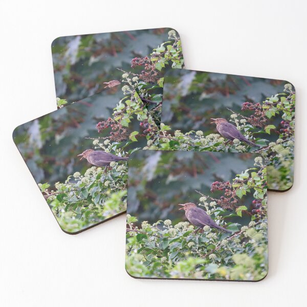 Item preview, Chirping Bird designed and sold by Charlotte-3103.