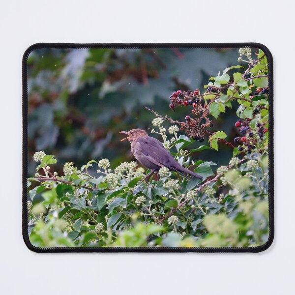 Item preview, Chirping Bird designed and sold by Charlotte-3103.