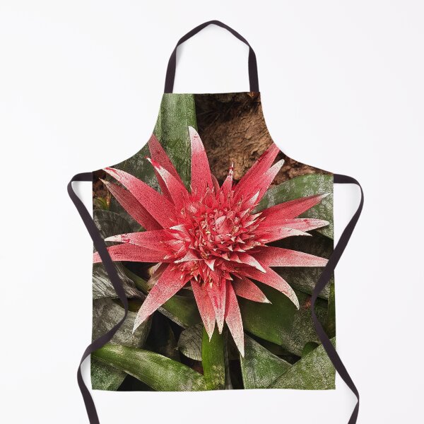 Item preview, aechmea fasciata pink flower greenhouse plant from Brasil designed and sold by pfc-art.
