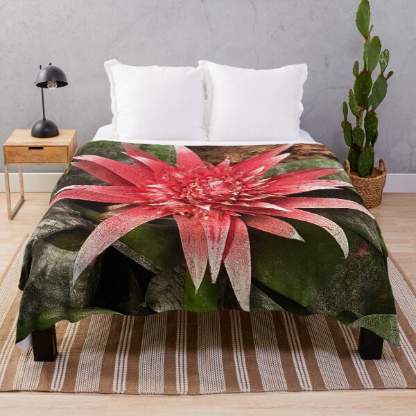 Item preview, aechmea fasciata pink flower greenhouse plant from Brasil designed and sold by pfc-art.