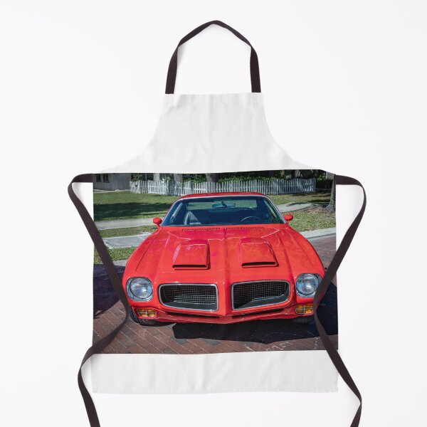 Item preview, 1970 Red Pontiac Firebird Ram Air Formula 400 X119 designed and sold by RichFrancoCars.