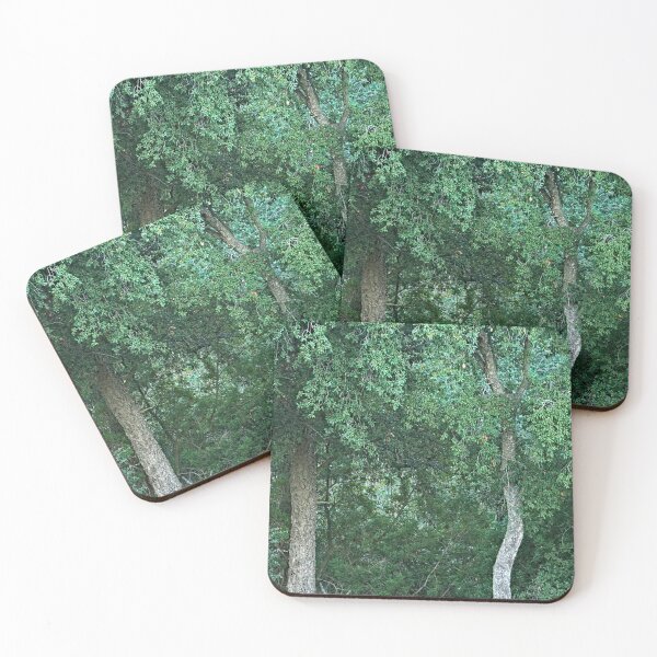 Item preview, Cork Oak Trees Forest designed and sold by worldways.