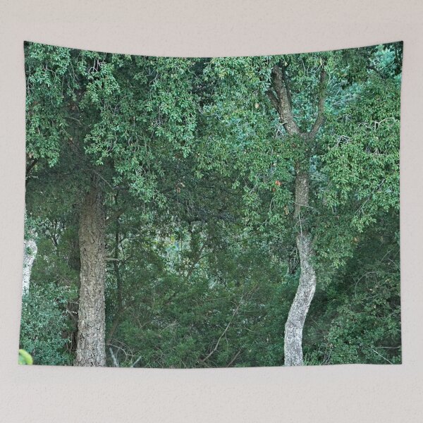Item preview, Cork Oak Trees Forest designed and sold by worldways.