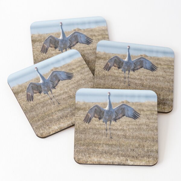 Item preview, Thirteen Moves to Impress a Mate, No. 12 designed and sold by Belinda Greb Photography.