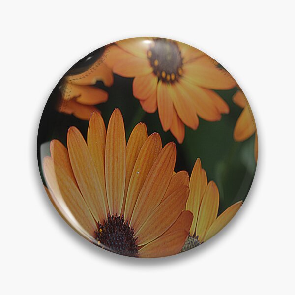 Item preview, Gazania designed and sold by zzsuzsa.