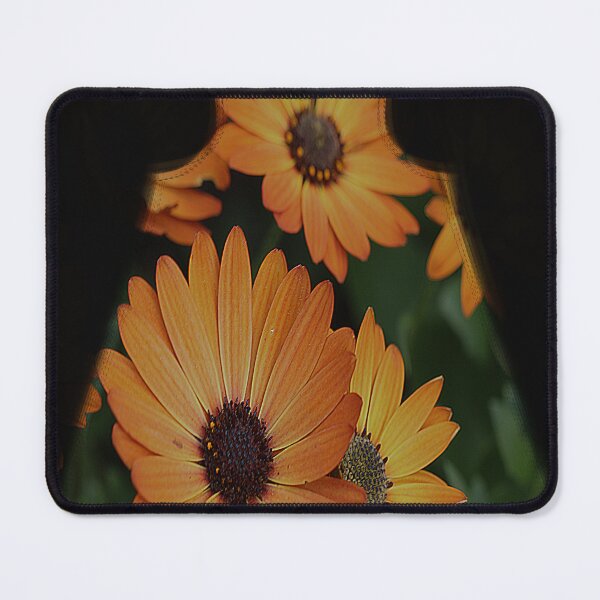 Item preview, Gazania designed and sold by zzsuzsa.