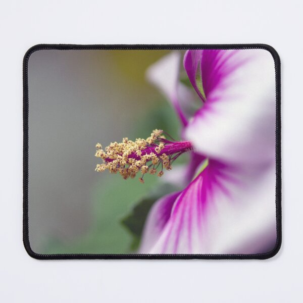 Item preview, Tree Mallow Purple Flower  designed and sold by Kenziewenze.