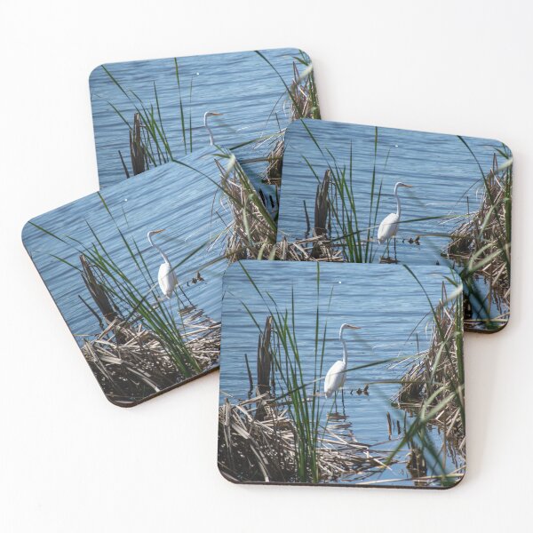 Item preview, A Bird At Naples Botanical Garden. designed and sold by JmanInABox.