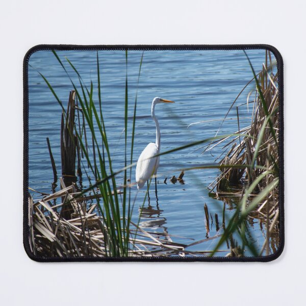 Item preview, A Bird At Naples Botanical Garden. designed and sold by JmanInABox.