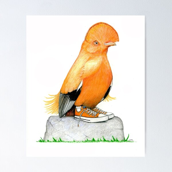 Item preview, Cock of the Rock on a Rock in Low Tops designed and sold by JimsBirds.