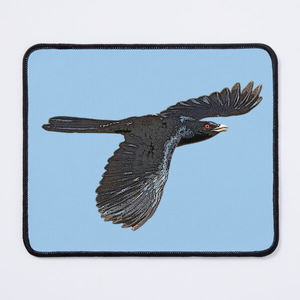 Item preview, Pacific Eastern Koel Color Design designed and sold by designsasstultd.
