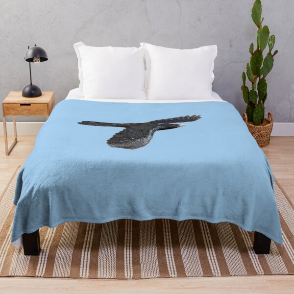 Item preview, Pacific Eastern Koel Color Design  designed and sold by designsasstultd.
