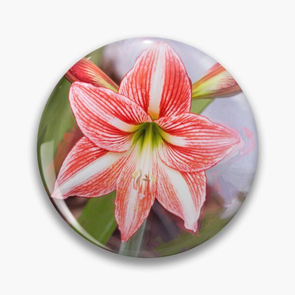Item preview, Sweet Lillian Amaryllis X140 designed and sold by RichFrancoCars.